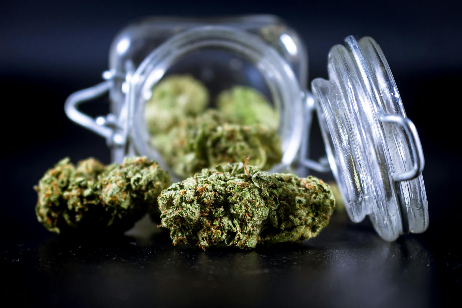 NY-licensed cannabis on display at Purple Buds Dispensary, pickup-ready for Corona, Queens residents arriving via the 7 train along Roosevelt Avenue