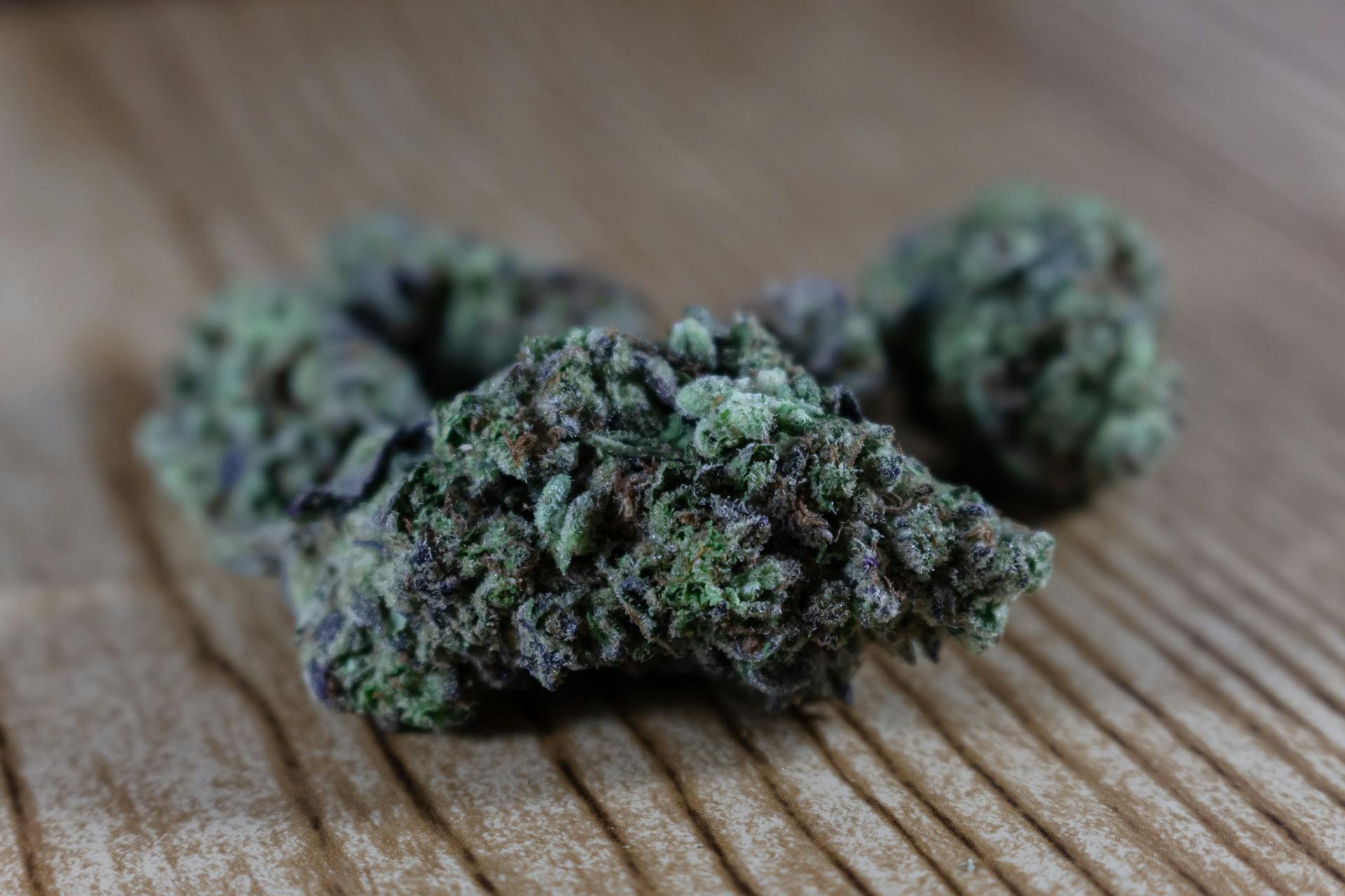 Cured cannabis flower nugs in a sealed glass storage jar, fresh-stocked rotation on the Purple Buds Jackson Heights sales floor