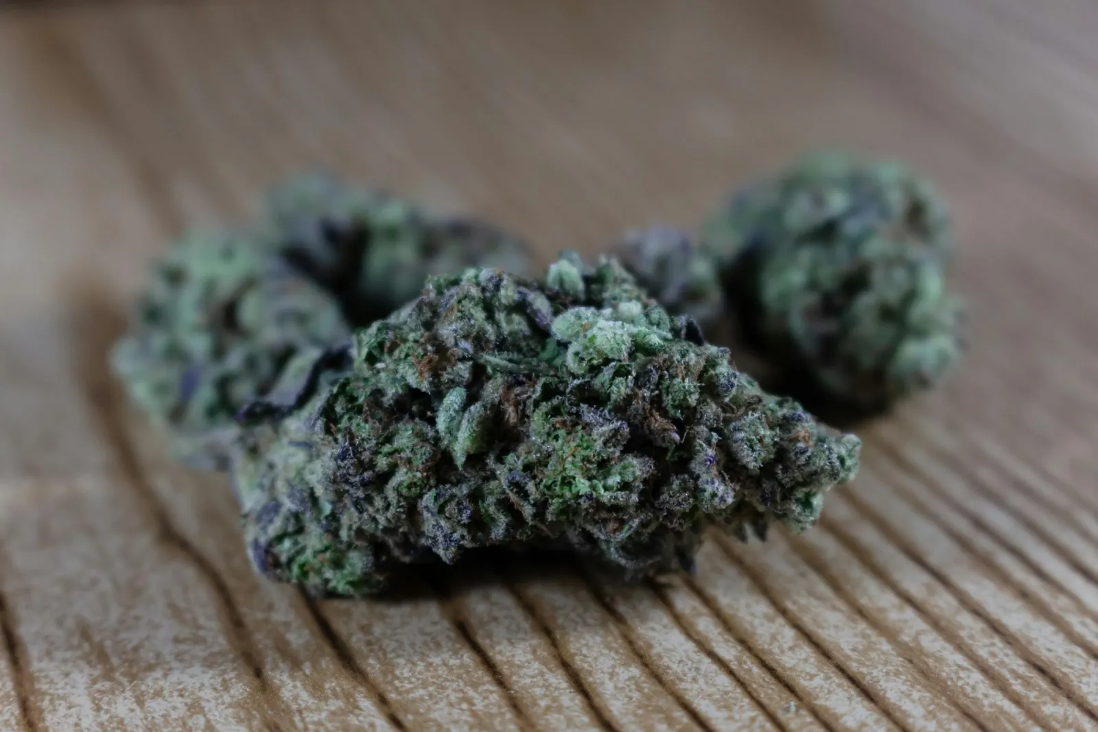 Cured cannabis flower nugs in a sealed glass storage jar, fresh-stocked rotation on the Purple Buds Jackson Heights sales floor