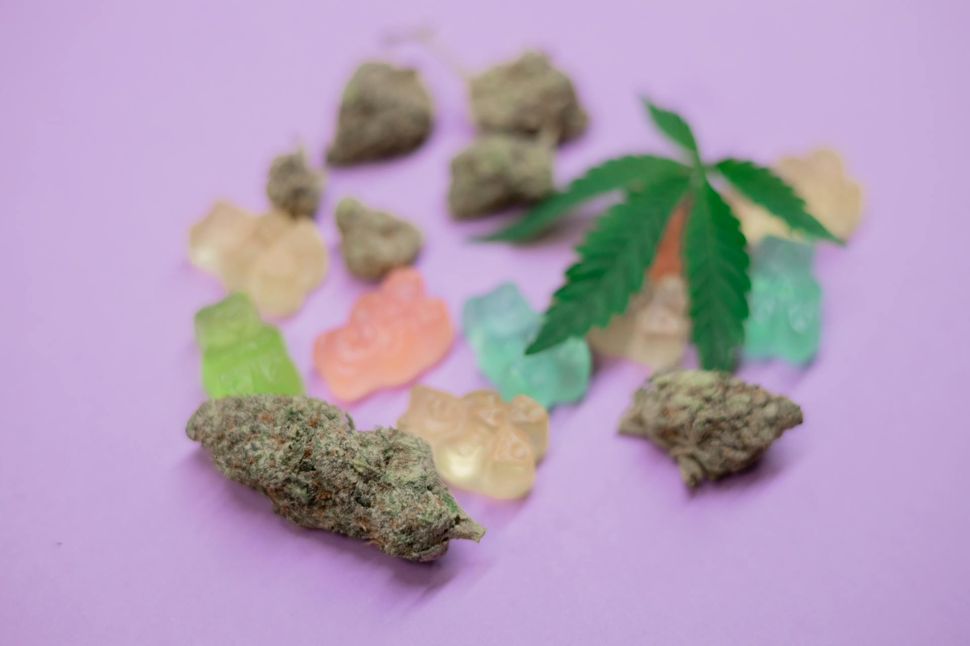 Macro shot of a frosted cannabis flower bud and lab-tested edibles at Purple Buds Dispensary in Jackson Heights, Queens NY