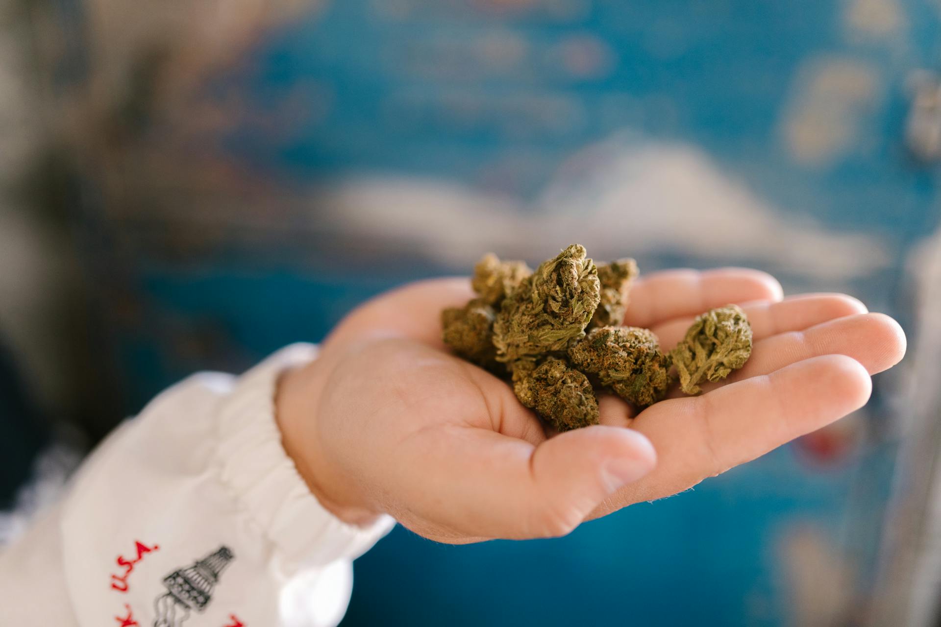 Cured cannabis flower in a sealed glass storage jar, Purple Buds Dispensary's fresh-stocked inventory rotation in Jackson Heights, Queens NY