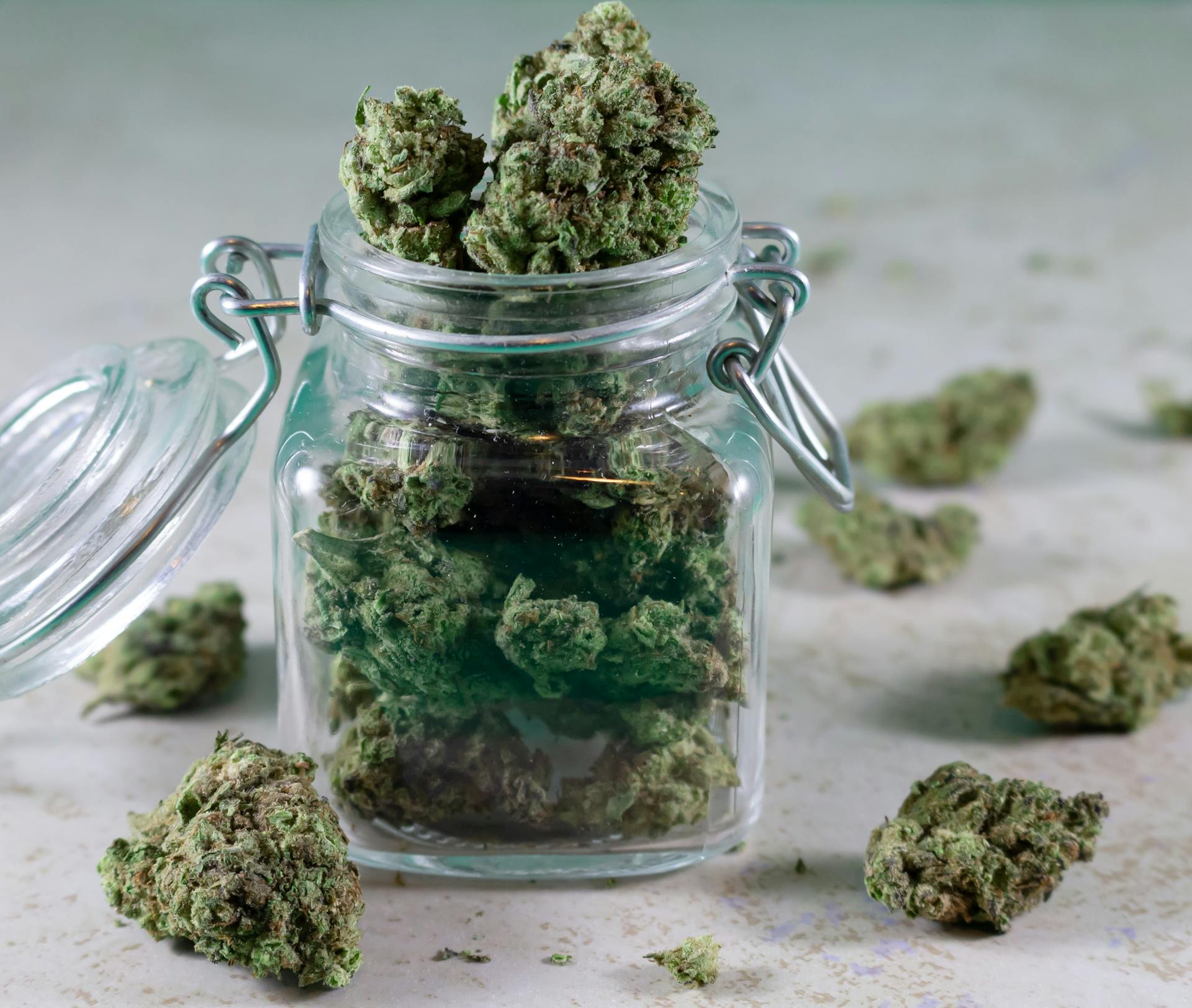 Cannabis flower and edibles ready for pickup by Elmhurst, Queens residents at Purple Buds Dispensary, a short walk down Roosevelt Avenue from Elmhurst