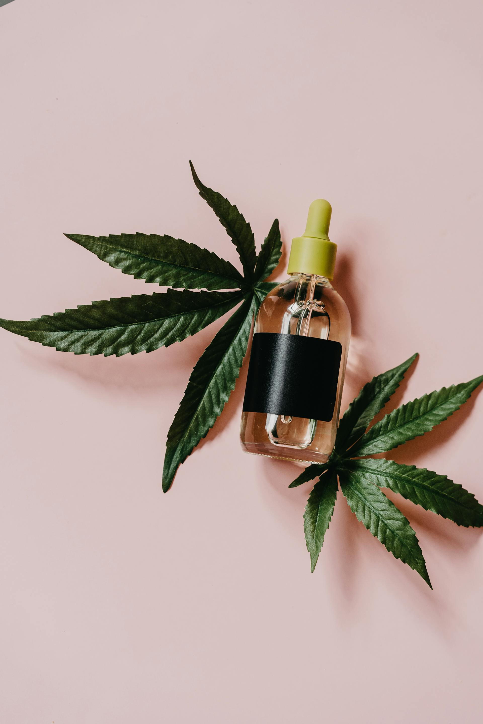 Sublingual cannabis tincture bottle with measured dropper — full-spectrum, isolate, THC, and CBD tinctures at Purple Buds Dispensary in Jackson Heights